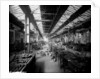 Brass-Finishing Shop at John Brown & Co. Ltd, Clydebank, 1901 by Bedford Lemere & Co.