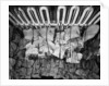 Frozen meat in the hold of the 'Highland Rover' (1910) by Bedford Lemere & Co.