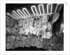 Frozen meat in the hold of the 'Highland Rover' (1910) by Bedford Lemere & Co.