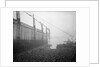 Aquitania' (1914) moving down the ways by Bedford Lemere & Co.