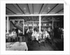 First Class Dining Saloon on the 'Orduna' (1914) by Bedford Lemere & Co.