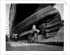 Stern view of the 'Aquitania' (1914) in drydock by Bedford Lemere & Co.