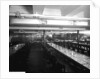 Third Class Dining Saloon on the 'Aquitania' (1914) by Bedford Lemere & Co.