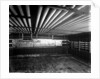 Junior Army and Navy Stores Ltd refrigerating chamber on the 'Borodino' (1911) by Bedford Lemere & Co.