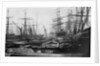 The South West India Dock, London, circa 1880 by unknown