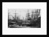 The South West India Dock, London, circa 1880 by unknown