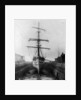 The 'Ferreira' in the New Lower Union Dry Dock, Limehouse by unknown