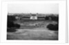 Allotments in Greenwich Park during the Second World War by unknown