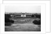 Allotments in Greenwich Park during the Second World War by unknown
