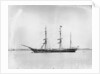 The P&O liner SS 'Indus' (1871) in 1882 by unknown