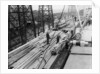 Wood unloaded from the Pacific Reliance (1951) by unknown