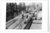 Wood unloaded from the Pacific Reliance (1951) by unknown