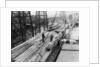 Wood unloaded from the Pacific Reliance (1951) by unknown