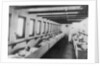 Upper hospital deck of the 'Geneva Cross' (1894) ambulance ship by unknown