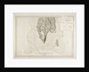 The environs of Fort Cumberland in the Bay of Fundy by J.F.W. Des Barres