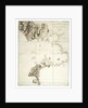 Plan of the harbour, fort, town and environs of Fort Royal in Martinique by William Booth