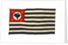 Regional flag, Sao Paulo by unknown