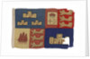 Standard of the Lord Warden of the Cinque Ports by John Edgington