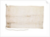 White Flag of Antarctica by unknown