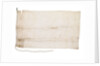 White Flag of Antarctica by unknown