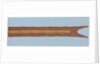 Chinese junk pennant by unknown