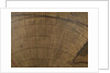 Terrestrial table globe by unknown