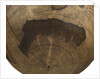 Terrestrial table globe by unknown