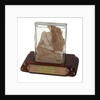 Meat sample from Sir John Franklin's last expedition 1845-1848 by unknown