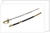 Solid half-basket hilted sword, which belonged to Vice-Admiral McClure (1807-1873) by Gillott & Hasell