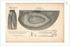 The boat-cloak or cloak boat...invented by Peter Halkett, R.N. by Peter Halkett