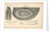 The boat-cloak or cloak boat...invented by Peter Halkett, R.N. by Peter Halkett