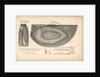 The boat-cloak or cloak boat...invented by Peter Halkett, R.N. by Peter Halkett