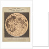 Telescopic appearance of the moon (backlit) by James Reynolds