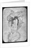 Lantern slide by York & Son