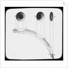 Lantern slide by York & Son