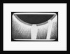 Lantern slide by York & Son