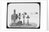 Lantern slide by York & Son