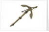 Frame stock anchor - shank hollowed out 1829 by unknown
