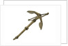 Frame stock anchor - shank hollowed out 1829 by unknown