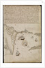 Plate from Edward Barlow's journal of his life at sea in king's ships, East & West Indiamen & other merchantmen from 1659 to 1703. by Edward Barlow
