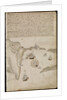 Plate from Edward Barlow's journal of his life at sea in king's ships, East & West Indiamen & other merchantmen from 1659 to 1703. by Edward Barlow