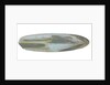 Tank testing model; Design model by unknown