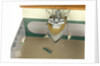 Instructional model; Waterline model by unknown