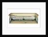 Instructional model; Waterline model by unknown