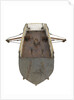 Fighting vessel by unknown