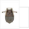 Fighting vessel by unknown