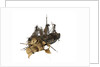 Warship; 74 gun by William Haines