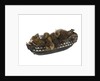 'Bellisle'; warship; 74 guns by William Haines