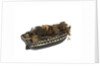 'Bellisle'; warship; 74 guns by William Haines