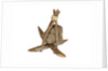 Equipment model; Anchor model; Killick by unknown